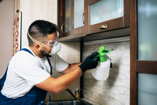 Best Residential Pest Control  in North Fork, CA