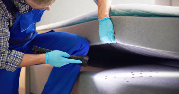 Best Local Pest Control Services  in North Fork, CA