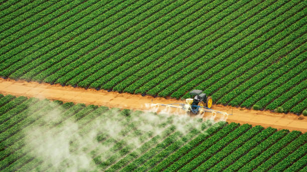 Best Mosquito Control Services  in North Fork, CA