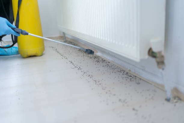 Best Emergency Pest Control  in North Fork, CA